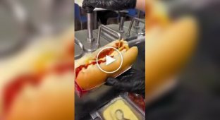 Brazilian hot dog