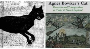 The curious case of Agnes Bowker's cat (9 photos)