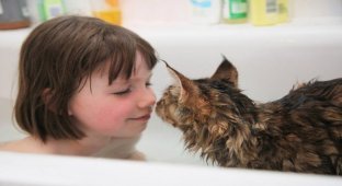 Кошка помогла больной аутизмом девочке научиться взаимодействовать с людьми (8 фото)