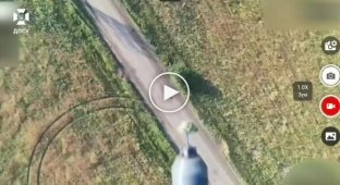 Пилотами Феникса уничтожены 7 FPV-засад оккупантов на Донетчине