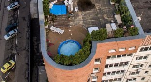 Житель Подмосковья обустроил зону отдыха на крыше многоэтажки (4 фото)