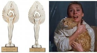 The best animals of the film industry and their well-deserved award (6 photos)