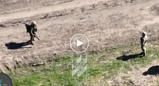 Оператор разведывательного подразделения «Шершень» скинул гранату на двоих российских операторов дронов