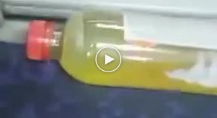 Bus passengers left a nasty surprise for the driver