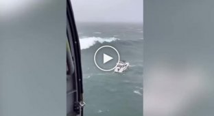 The US Coast Guard saved the life of a sailor with an overturned wave of the yacht