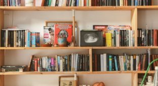 Как выбрать стеллаж для книг: материалы, размеры, стиль