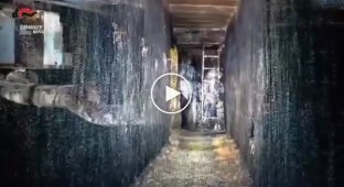 New details of the robbery in Naples