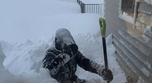 Snow captivity in the USA: more than 2 meters of snow fell in New York (3 photos + video)
