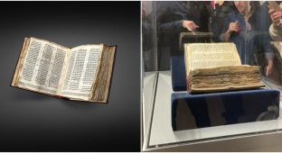The oldest Bible was sold at auction for $ 38 million (5 photos + 1 video)