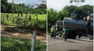 Голод в Венесуэле: толпа забила камнями корову, а из-за "голодных" протестов погибло 4 человека (9 фото + 1 видео)