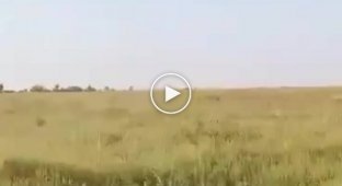 З'явилися кадри, на яких зображений збитий 17 серпня російський вертоліт Ка-52 в районі Роботино Запорізької області.