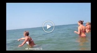 Дельфины которые подплили к отдыхающим на Черном море