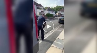 Спасенный голубь врезался в стену