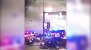 Полицейская собака сделала перерыв во время погони за нарушителем