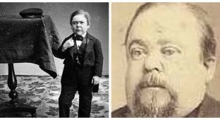 Генерал Том Тамб: крошечный, но очень знаменитый человек (6 фото)
