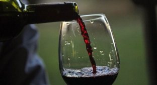 Ученые приравняли выпитый бокал вина к одному часу занятий спортом (2 фото)