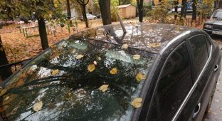 В Ленобласти неизвестные мстители воткнули лом в крышу припаркованной машины (4 фото)