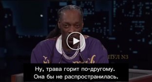 Експертна думка репера Снуп Догга про пожежі в Лос-Анджелесі