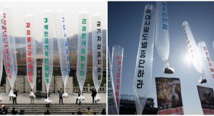 South Korea responded to North Korea and sent balloons with K-pop, dramas and dollars (3 photos)