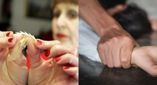 “If I had teeth there”: how an anti-rape trap was created, with which a woman feels protected (5 photos)