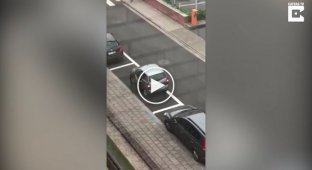 Тяжелая парковка бельгийской автоледи попала на видео