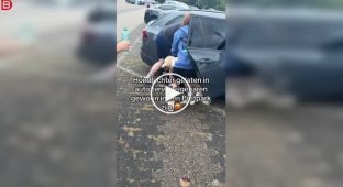 Посетители парка спасли собаку, запертую в раскаленной машине