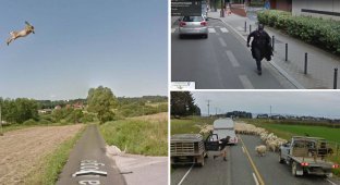 30 Funny and Ridiculous Scenes Caught on Google Street View Cameras (31 Photos)