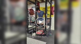 Коти завжди підтримають у важку хвилину