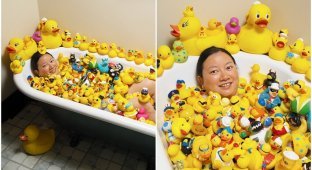 Жінка зібрала в будинку рекордну колекцію гумових качок (5 фото)