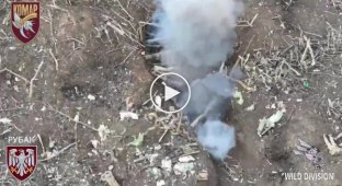 Ukrainian kamikaze drones destroy Russian infantry in the Zaporozhye direction