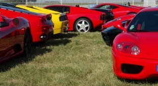 Французский клуб владельцев Ferrari организовал встречу (12 фото + 2 видео)