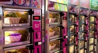 The most unusual vending machines (28 photos)