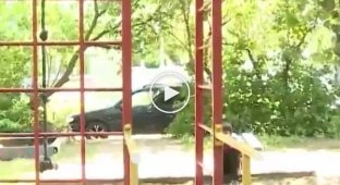 Скучающий пенсионер Петр Чурсин из Калининграда научил кота Ваську цирковым трюкам