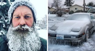 Severe frosts came to the USA and Canada (30 photos)