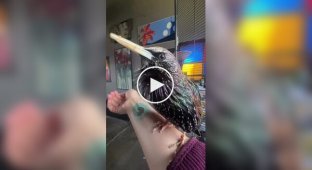 Увімкніть це своєму собаці: Неймовірні звуки природи