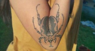 Французский художник делает "живые" татуировки (35 фото)