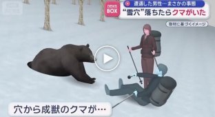 Japanese man falls into bear's den and survives