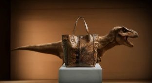 A bag made of a dinosaur: scientists create Tyrannosaurus skin to make things (5 photos + 1 video)