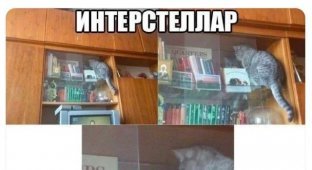 Подборка забавных твитов обо всем. Выпуск 780 (48 картинок)