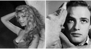 Зарубіжні секс-символи 50-х - 60-х років (12 фото)