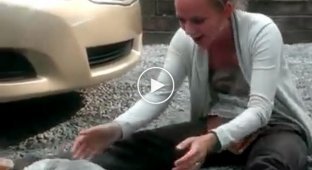 She waited for her owner for 2 long years. Seeing her, the dog squealed with happiness
