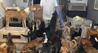 Мексиканец спас 300 животных от урагана, поселив их у себя дома (4 фото)
