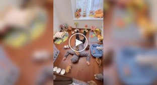 Котейная терапия
