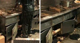 Люди в шоке от того, что происходит на кухне одного из ресторанов Hooters (7 фото + 1 видео)