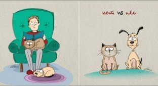 Отличия между собакой и кошкой (6 картинок)