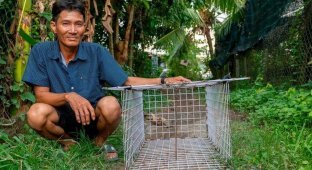 Вьетнамец считает воровство домашних животных всего лишь работой (5 фото)