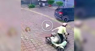 Мати року на скутері