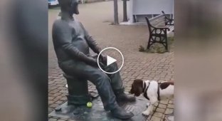 The dog decided to play ball with the statue