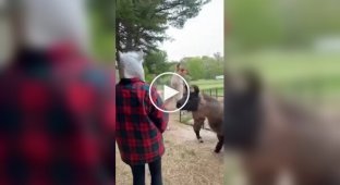 Чужой среди чужих