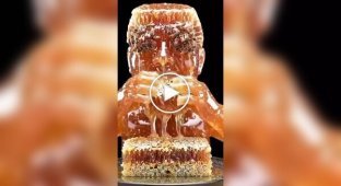 A neural network understood the query “You are what you eat” too literally